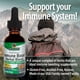 thumbnail image 4 of Suplemento Nature's Answer Immune Boost sin alcohol, 30 ml, 4 of 7