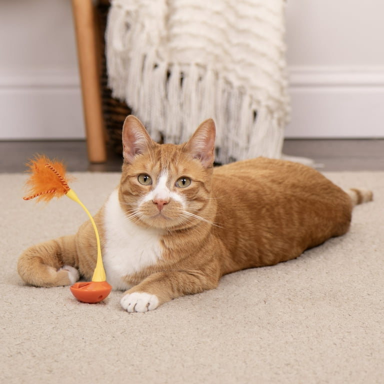 SmartyKat Swat 'N Spin Interactive Cat Toy for Exercise