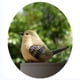 thumbnail image 5 of Estatua de pájaros de jardín al aire libre, paquete de 2, de animales de resina Macarena Emulación Pájaro Decoración de jardín rural Decoración de escritorio Regalo de Navidad Par Creativo, 5 of 6