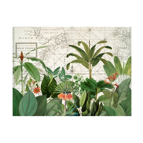 Trademark Fine Art Andrea Haase  Exotic Wildlife 005 Canvas Wall Art