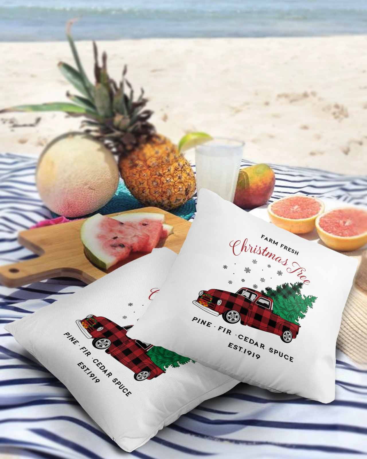 Pack of 2 Outdoor Pillow Covers, Christmas Red Plaid Truck Carry Xmas Tree White Background Waterproof Square Throw Pillowcase Cushion Decorative Pillow Covers for Couch Patio Tent, 24x24 in