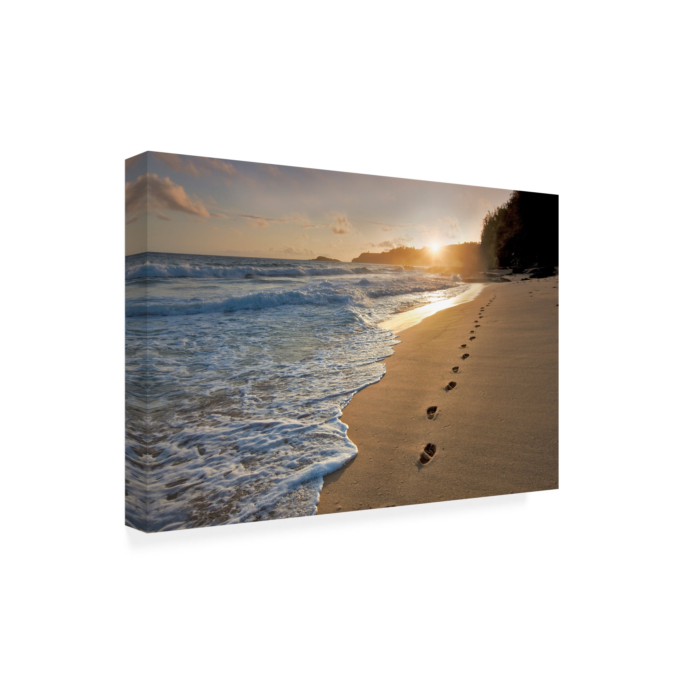 Dennis Frates 'Foot Prints In The Sand 2' Canvas Art