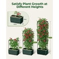 thumbnail image 3 of 51" Self Watering Planter Box with Trellis, Tomato Cage with Water Level Indicator, Indoor Outdoor Raised Garden Bed, 3 of 10