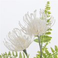 thumbnail image 5 of 1 Unids De Plástico Flor De Crisantemo Girasoles Artificiales 2-Cabeza Para El Budismo Día De Obon Festival Funeral Blanco Macarena Flor de crisantemo falso, 5 of 5