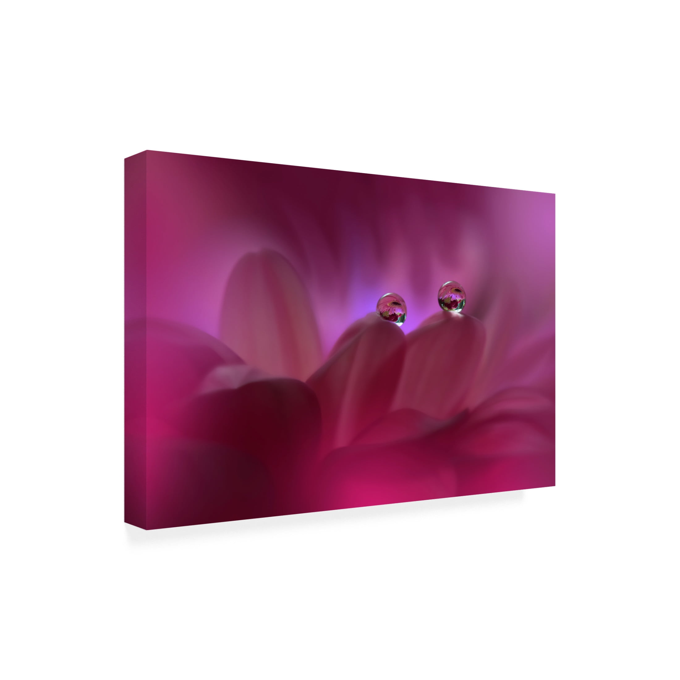 Trademark Fine Art Juliana Nan Immortal Love II Canvas Wall Art
