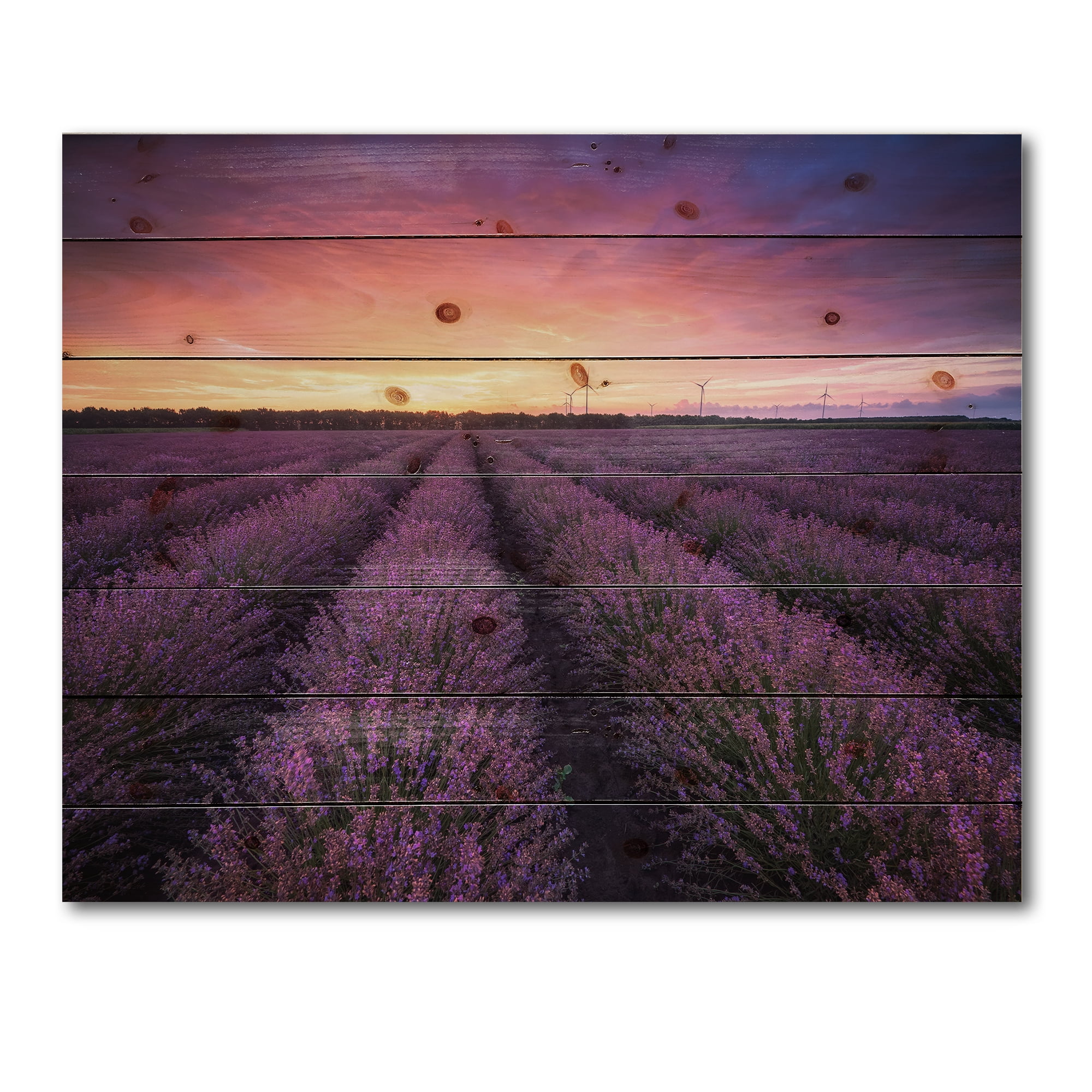 Designart 'Dramatic Clouds and Sunrise Over Lavender Field XIII' Farmhouse Print on Natural Pine Wood