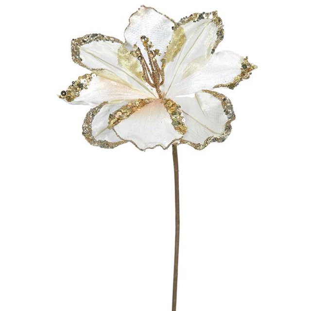 Or Rose Amaryllis Tige de Fleur&44; 20 & 9 Po.
