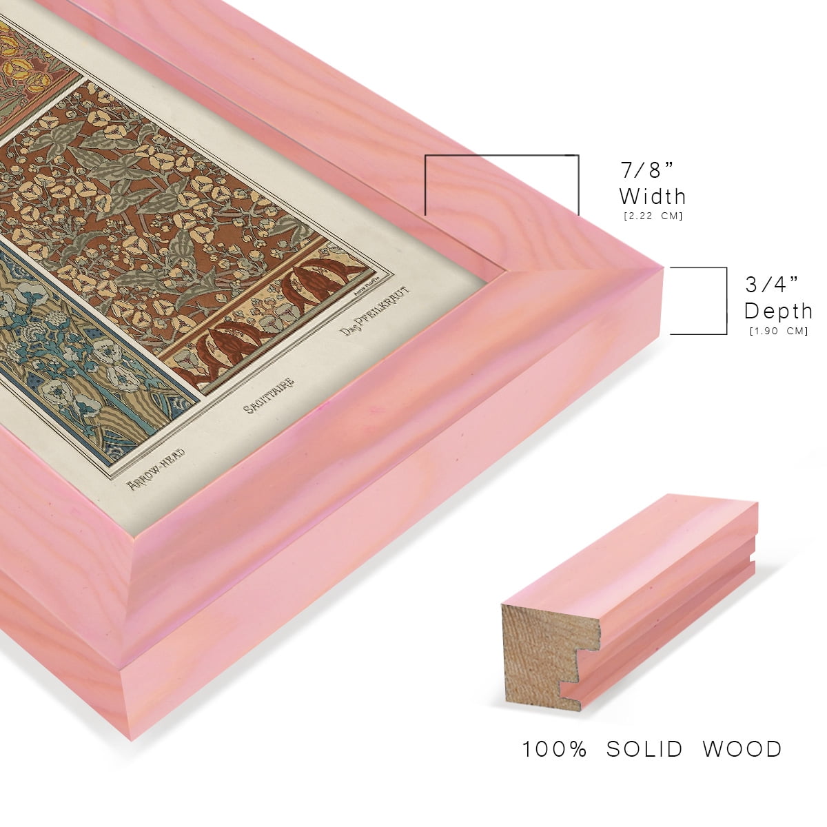 Nouveau Decorative II - Framed Print w/glass - Sunset Pink