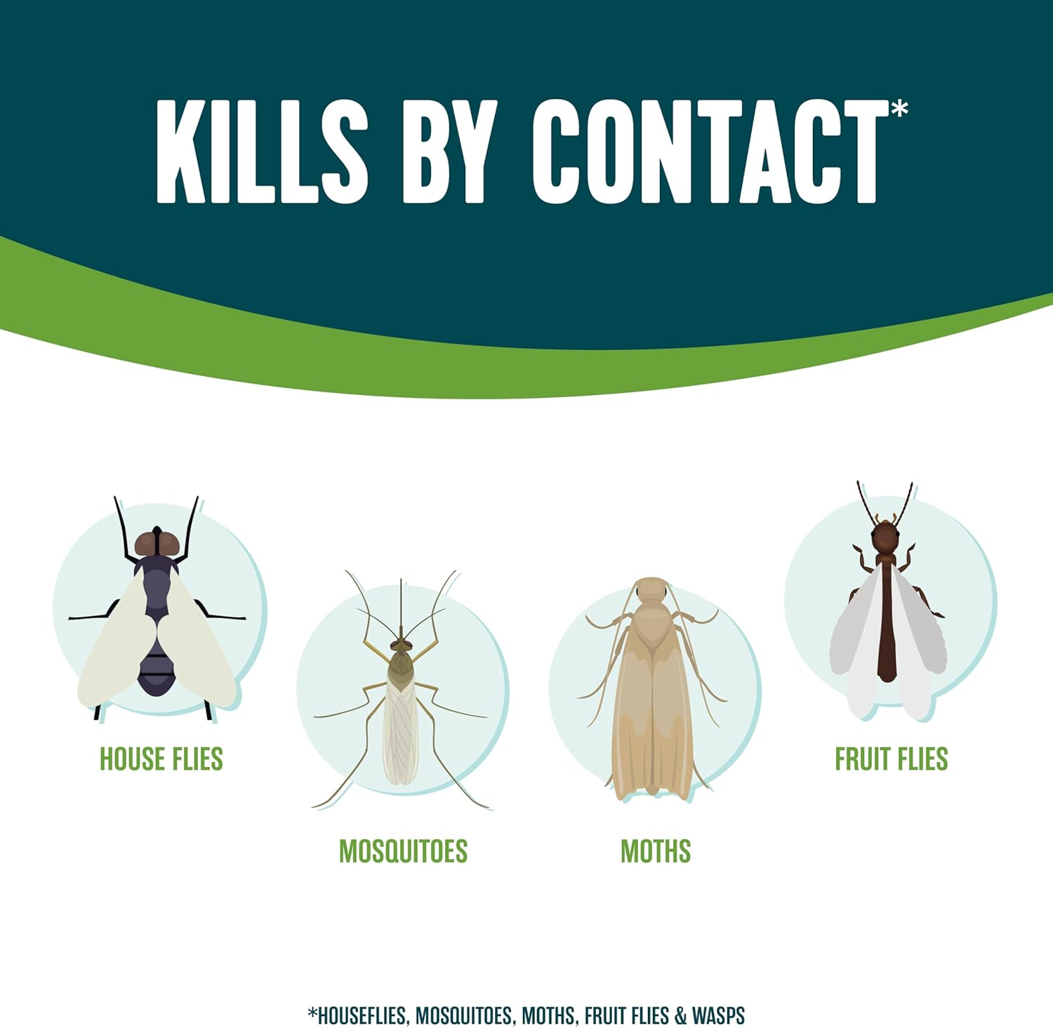 Insect Killer, 14 ounces, a aerosol formula made with corn mint, cinnamon and clove oil
