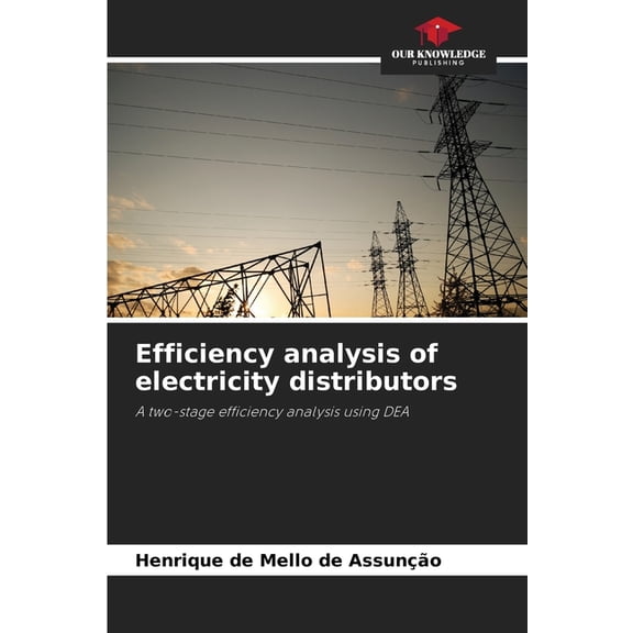 Efficiency analysis of electricity distributors, (Paperback)