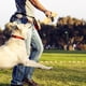 thumbnail image 3 of Juguete Para Perros De Simulación Juguete De Látex Blando Que Chirría Adecuado Para Perros Pequeños Y Medianos, 3 of 4