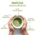 Teabox Matcha Green Tea Powder 25 Grams 100 Pure & Fresh Authentic