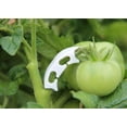 thumbnail image 4 of Clips de Jardin Translucides à Support Réglable pour Qualité Fiable Matériau PP, Clip en Rotin Léger avec Courbes Douces Basse Pression, 100 Pcs, 4 of 4