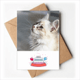 thumbnail image 1 of White Pet Cat Animal Profile Cute Stare Happy Birthday Greeting Cards Envelopes Blank, 1 of 3