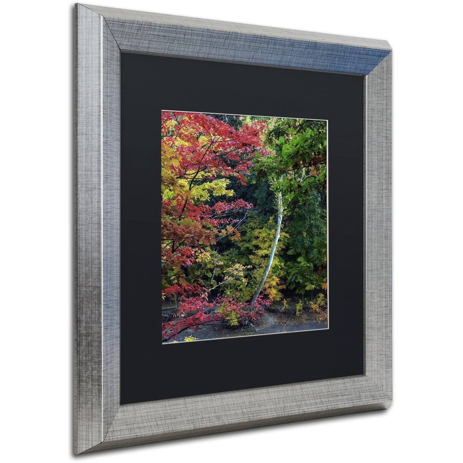 Trademark Fine Art "All the Colors of October in Ohio" Canvas Art by Kurt Shaffer, Black Matte, Silver Frame