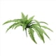 thumbnail image 2 of Helecho Boston Artificial Realista Resistente A los Rayos UV, Helechos Artificiales para Exteriores, Helechos Falsos, Plantas Artificiales, 2 of 5