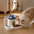 thumbnail image 6 of Cottage Style Pet Feeder Water Dispenser Food Storage Sealed Auto Refill for Cats Dogs Small Pets Indoor Feeding Station Cute Decor, 6 of 7