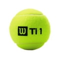 Wilson Titanium All Court Tennis Balls, 3 Ball Can