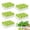 Green, variant on 5Pcs Reusable Seed Starter Trays Kit (60 Cells in Total), Silicone Seedling Starter Trays for Starting Plant Seeds, Indoor Gardening Plant Germination Tray