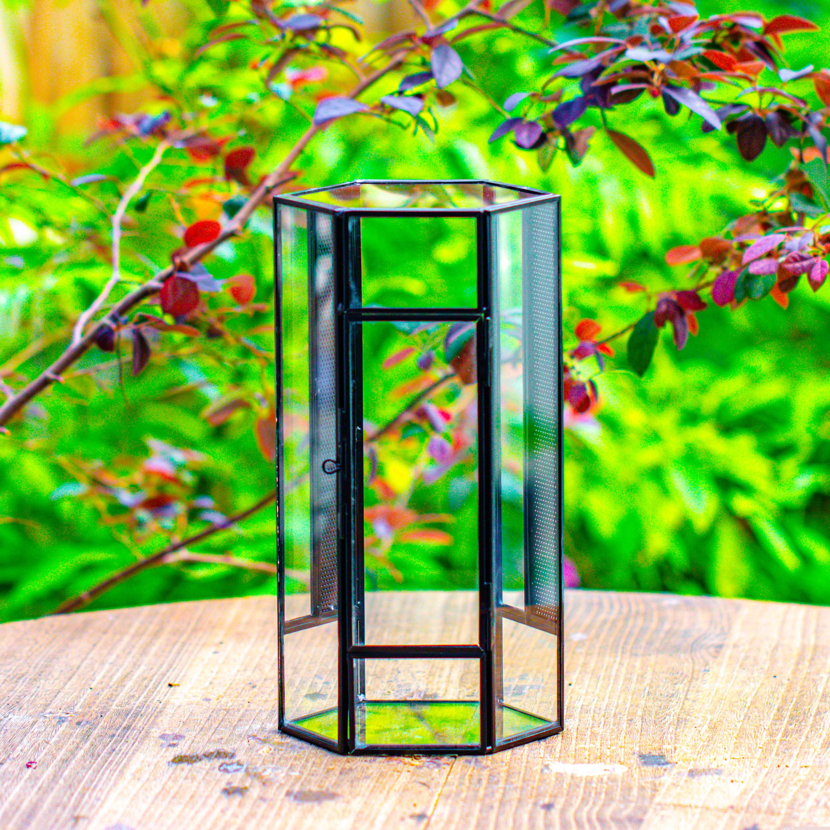 thumbnail image 4 of NCYP Small Stainless Steel Hexagon Shaped Enclosure Terrarium with Mesh, 4.9x4.3x9.4 inches Tabletop Jumping Spider, Small Insect Habitat, Vertical Placed (Terrarium Only), 4 of 16