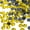 Citrine, variant on SS20 (4.7mm) Hematite Glass Flat Back Hotfix Rhinestones, 1440pcs