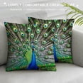 thumbnail image 3 of Orinice Peacock Feathers Graphic Decorative Cotton Linen Throw Pillow Cover Zipper Closure for Home Couch Bedroom - 1PC 24x24in, 3 of 5