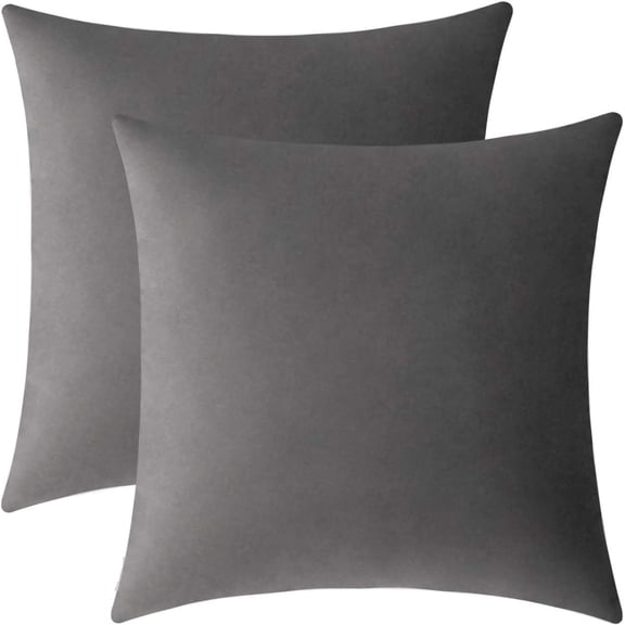Cterwk Set of 2 Velvet Decorative Throw Pillow Covers Soft Cushion Cover Square Pillow Case for Sofa Couch Bed Chair, 24x24 Inch