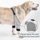 thumbnail image 5 of Coderas ajustables para patas delanteras de perro, protección para recuperación de lesiones quirúrgicas, 1 par, 5 of 5