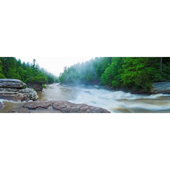 Youghiogheny River a wild and scenic river Swallow Falls State Park Garrett County Maryland USA Canvas Art - Panoramic Images (18 x 6)