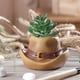 thumbnail image 2 of Wosthever Maceta de resina para flores, hierba bonita, jardín suculento, patio trasero, oficina, escritorio, estante de libros, contenedor decorativo, Jardín y Patio Sombrero Wosthever HA063326-01B, 2 of 6
