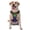 Without Accessories, variant on Vsdgher Pride Rainbow Pattern Dog Harness,No Pull Pet Harness with Soft Padded Handle,Adjustable Reflective Vest with 2 Buckles,4 Slide Buckles,S-XL