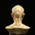 thumbnail image 3 of Modèle de Corps Humain Réaliste, Statue en Résine, pour Décoration de Fête Bar Maison - Jaune Antique, 3 of 6