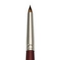 thumbnail image 1 of CEPILLO REAL ROYAL BRUSH  RYL9500512, 1 of 1