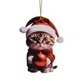 thumbnail image 1 of LILELIS 2D Acrylic Cartoon Christmas Cat Christmas Tree Pendant Acrylic Christmas Cartoon Cute Christmas Hat Cat Double Print 2D White Elephant Thick String for Hanging Clear Acrylic Beads Bulk, 1 of 8