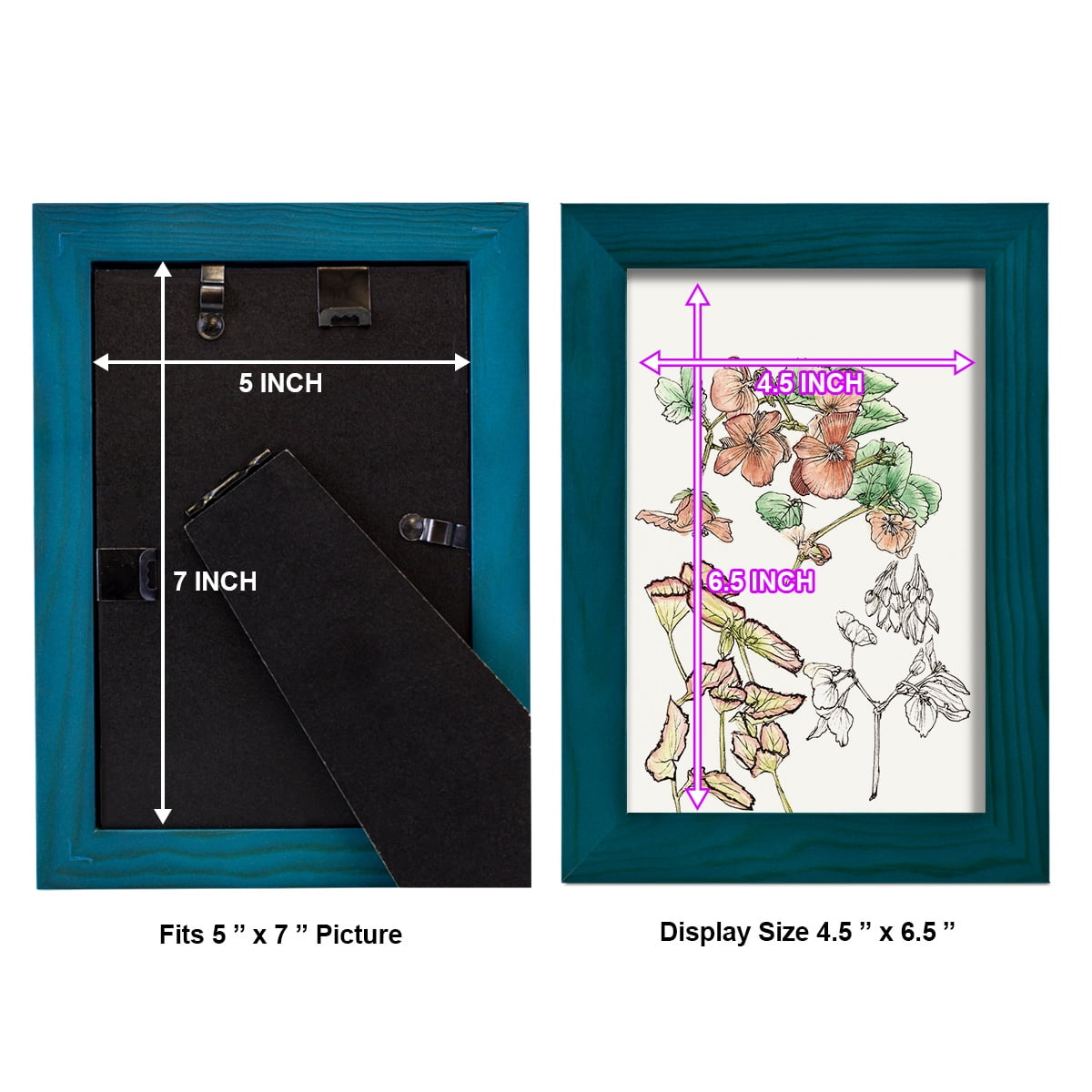 Begonia Study -Framed Print w/glass-Ocean Blue