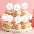 thumbnail image 3 of 24Pcs Pink Silly Goose Cupcake Toppers, One Silly Goose Cupcake Picks 1st Birthday Party Cake Decorations, Farm Animal Themed First Bday Baby Shower Party Supplies, 3 of 6