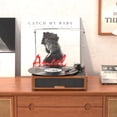 thumbnail image 3 of Udreamer Vinyl Record Players Stereo Turntable Vinyl Player 3-Speed & Bluetooth, All In One Vintage Audio Turntables,Wood Colour, 3 of 11