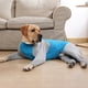 thumbnail image 3 of Abrigo Invierno TFixol Azul Medio, 3 of 8
