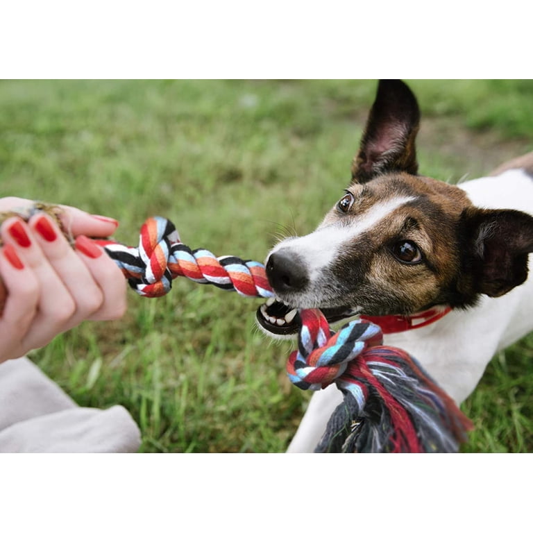 4 Pack Braided Rope Dog Toys - Durable Chew Toys For All Dog Sizes, Interactive Play