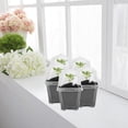 thumbnail image 6 of EBaokuup 10PCS Clear Plant Nursery Pots with Humidity Dome - 3" Plastic Gardening Pot with Labels, Durable Plastic Plant Container for Seedlings/Vegetables/Succulents/Cuttings, 6 of 6
