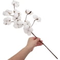 thumbnail image 4 of BRIGHTFUFU 10 cabezas de algodón seco tallos estilo de casa de campo de flores artificiales relleno decoración floral simulación flor diy decoración de la boda, 4 of 8