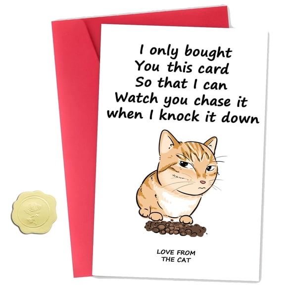 Tarjeta de cumpleaños ZyvSyldrin con gatito divertido 20 x 13 cm