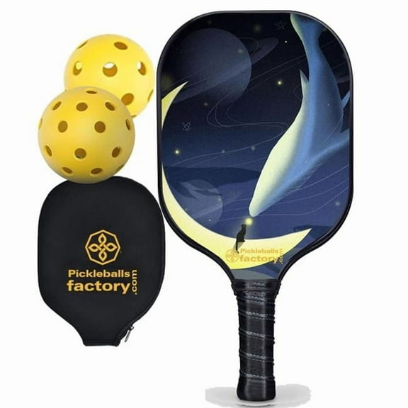 Best Pickleball Paddle - Whale Fall Pro Pickleball Paddles, Outdoor Pickle Balls Pickleball Connect, Glassfiber Graphite