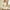 1# Beige cheap stuff under 1 dollar, variant on Cyber&Monday Deals Dyegold Short Jumpsuits For Women Summer Dressy Casual Sleeveless Boho Rompers Clothes Loose Spaghetti Strap Overalls Bibs