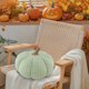 thumbnail image 5 of Uuiauoio Pumpkin Pillow Flock Material Holiday Decorative Throw for Bed Sofa Cushion Gift Soft Stuffed Realistic Design Festive Home,Halloween Pumpkins Plush Toys, 5 of 7