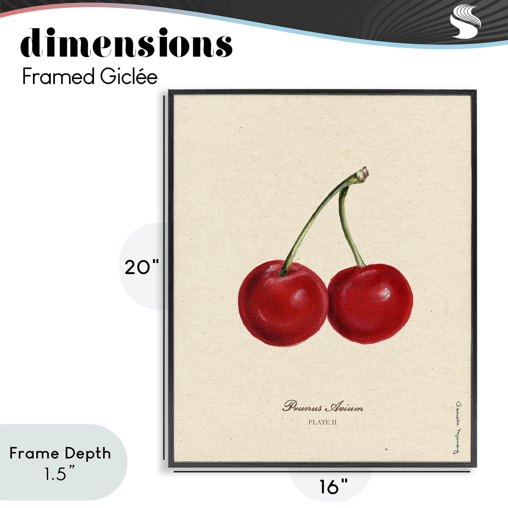 Stupell Industries Cherry Fruit Portrait Black Framed Giclee Art, design by Danielle Murray
