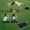 Black BK, variant on Usmixi Online Shopping Outdoor Seat Cushion Foldable Portable Single Parks Picnic Folding Small Seat Cushion