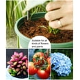 thumbnail image 5 of Nutrition Block Coconut Fiber Coir Pellet Nutrient Soil 10PCS Hot Sales Lightweight Plant Compressed Base Garden, 5 of 18