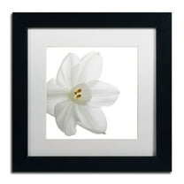 Trademark Fine Art "Paper White" Canvas Art by Kurt Shaffer White Mat, Black Frame