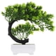 thumbnail image 1 of Plantas verdes simuladas en macetas falsas bonsai decoración de la planta falsa decoración del hogar HOMEMAXS 14057147-MX, 1 of 6